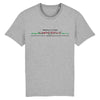 T-shirt Homme - Rugby - Pays de Galles - Hémisphère Nord Stanley/Stella Creator - DTG XS / Gris