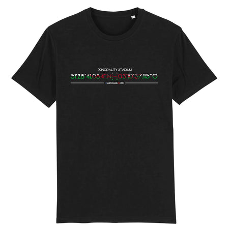 T-shirt Homme - Rugby - Pays de Galles - Hémisphère Nord Stanley/Stella Creator - DTG XS / Noir
